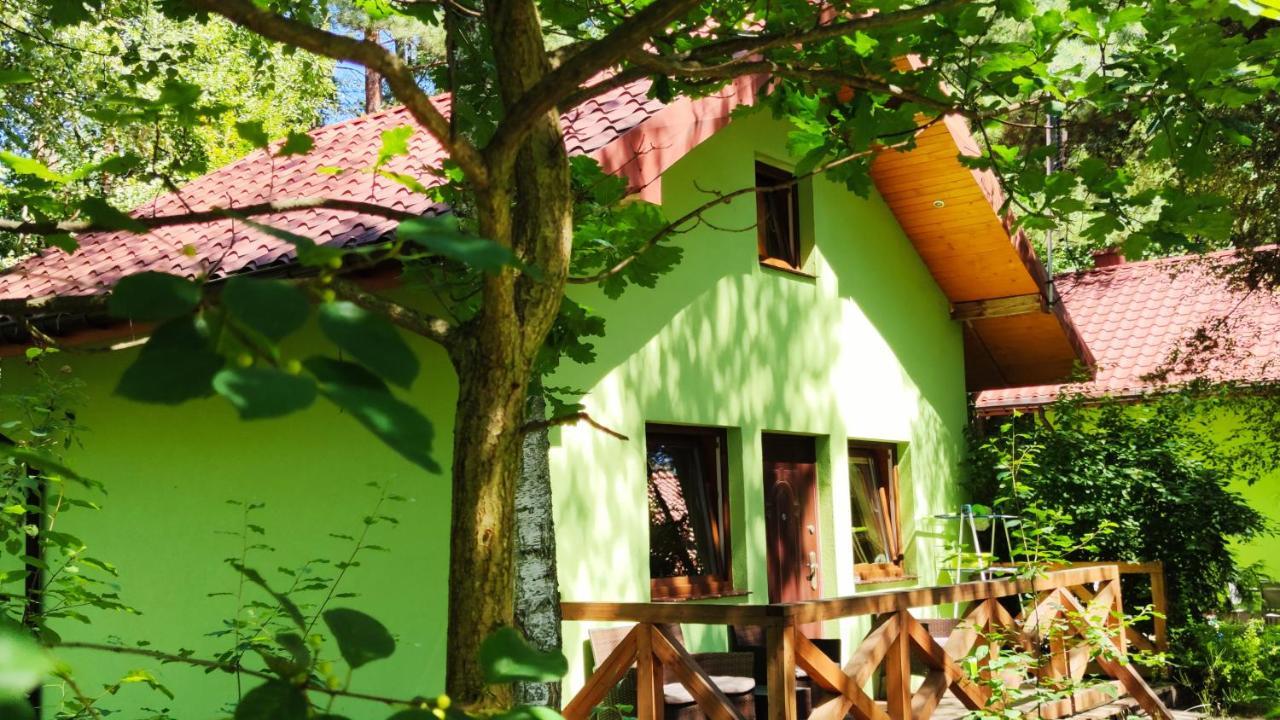 Niezapominajka-Jura Villa Niegowa ภายนอก รูปภาพ